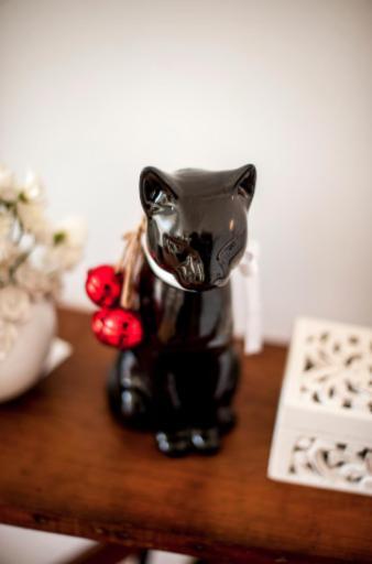 The Black Kitten II 卡尔达斯达·赖尼亚 外观 照片
